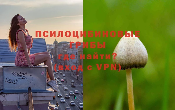 дурь Кинешма